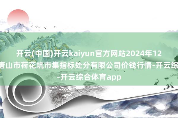 开云(中国)开云kaiyun官方网站2024年12月6日河北唐山市荷花坑市集指标处分有限公司价钱行情-开云综合体育app