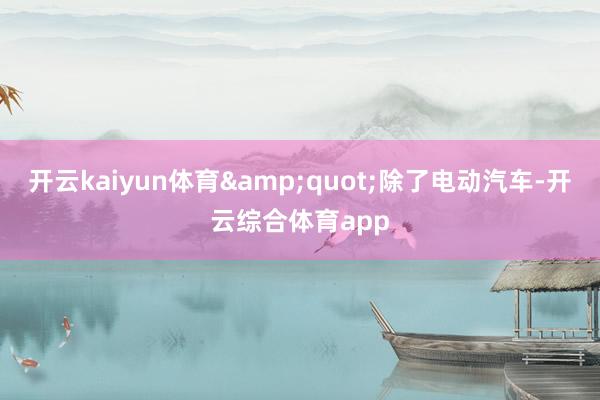 开云kaiyun体育&quot;除了电动汽车-开云综合体育app