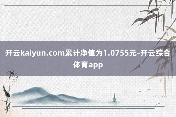 开云kaiyun.com累计净值为1.0755元-开云综合体