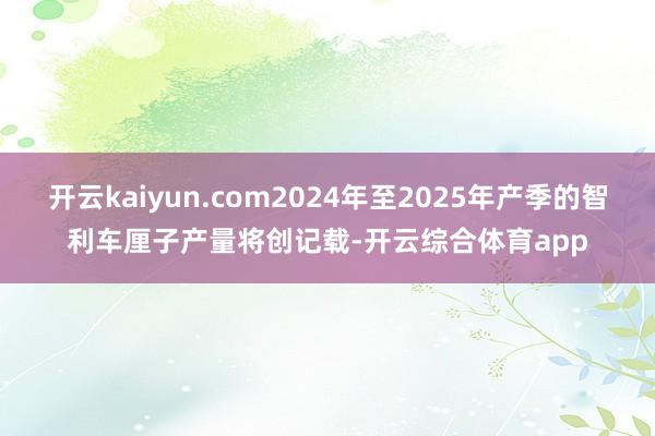 开云kaiyun.com2024年至2025年产季的智利车厘