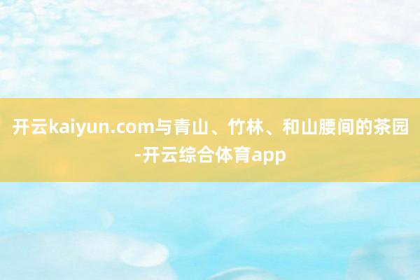 开云kaiyun.com与青山、竹林、和山腰间的茶园-开云综合体育app