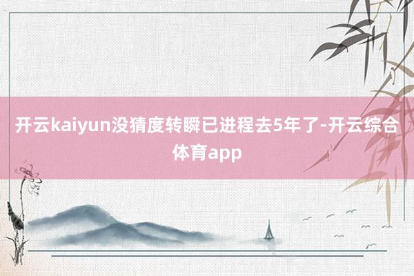 开云kaiyun没猜度转瞬已进程去5年了-开云综合体育app