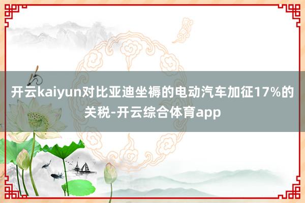 开云kaiyun对比亚迪坐褥的电动汽车加征17%的关税-开云综合体育app