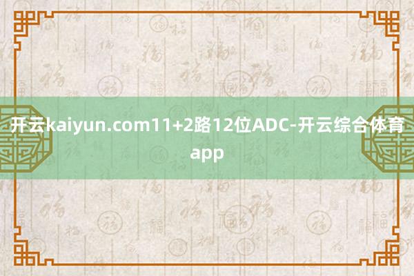 开云kaiyun.com11+2路12位ADC-开云综合体育
