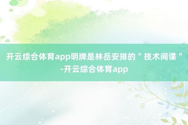 开云综合体育app明牌是林岳安排的＂技术间谍＂-开云综合体育app