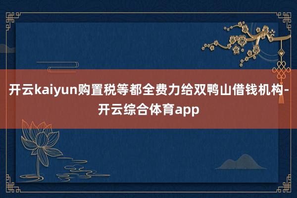 开云kaiyun购置税等都全费力给双鸭山借钱机构-开云综合体