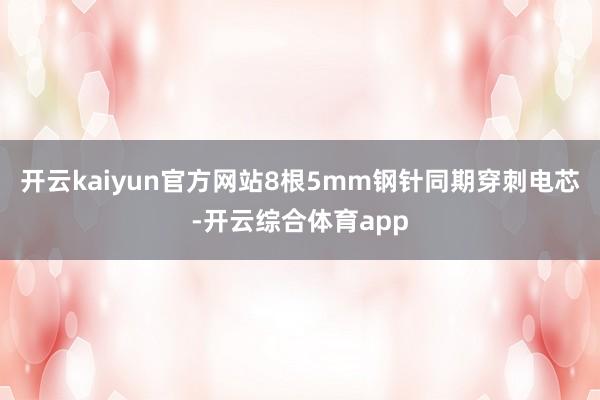 开云kaiyun官方网站8根5mm钢针同期穿刺电芯-开云综合体育app