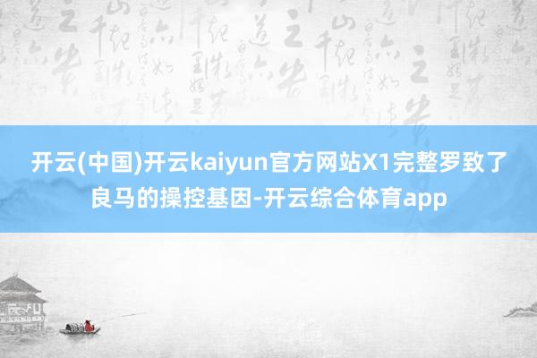 开云(中国)开云kaiyun官方网站X1完整罗致了良马的操控基因-开云综合体育app