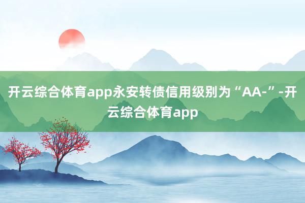 开云综合体育app永安转债信用级别为“AA-”-开云综合体育