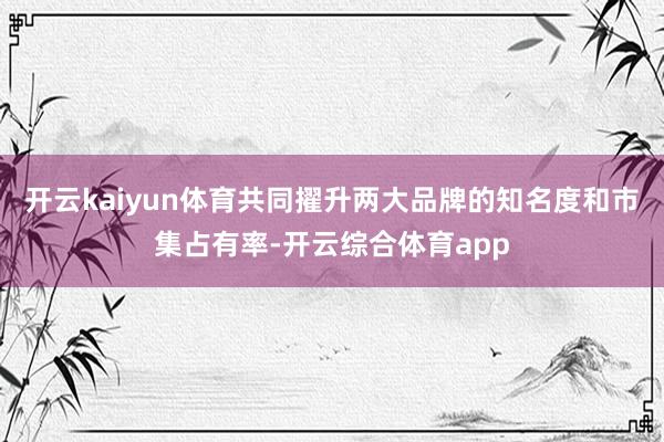 开云kaiyun体育共同擢升两大品牌的知名度和市集占有率-开