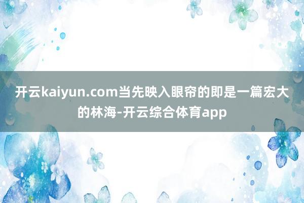 开云kaiyun.com当先映入眼帘的即是一篇宏大的林海-开