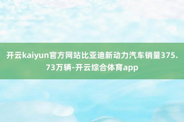 开云kaiyun官方网站比亚迪新动力汽车销量375.73万辆