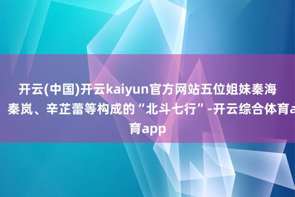 开云(中国)开云kaiyun官方网站五位姐妹秦海璐、秦岚、辛